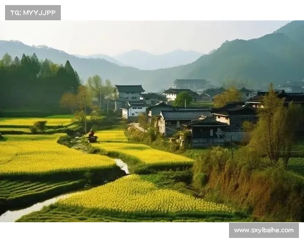 乡村的和谐美好在于自然与人文的和谐共生与温暖互助的社会关系 乡村的和谐美好在于自然与人文的和谐共生与温暖互助的社会关系