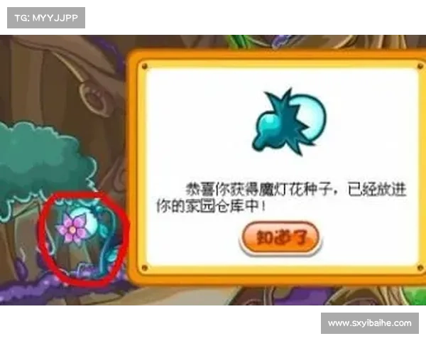 摩尔庄园奇幻旅程等你启航探索神秘世界的精彩冒险