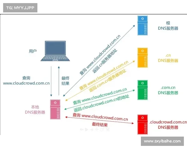北美洲杯赛全面解析及关键信息