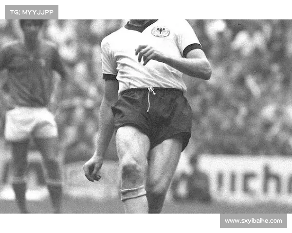 埃弗拉从贫困少年到足球巨星的成长历程与辉煌成就分析